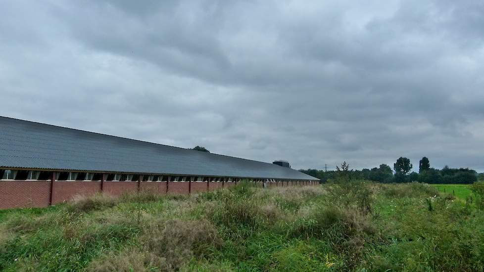 De eieren van het bedrijf in Terwolde gaan via broederij Reemst uit Barneveld naar Belgabroed. De Heus levert het mengvoer. De broedeieren uit Vaassen gaan naar broederij Lagerwei in Lunteren, het mengvoer komt van De Hoop uit Zelhem (GD). Door twee voerl