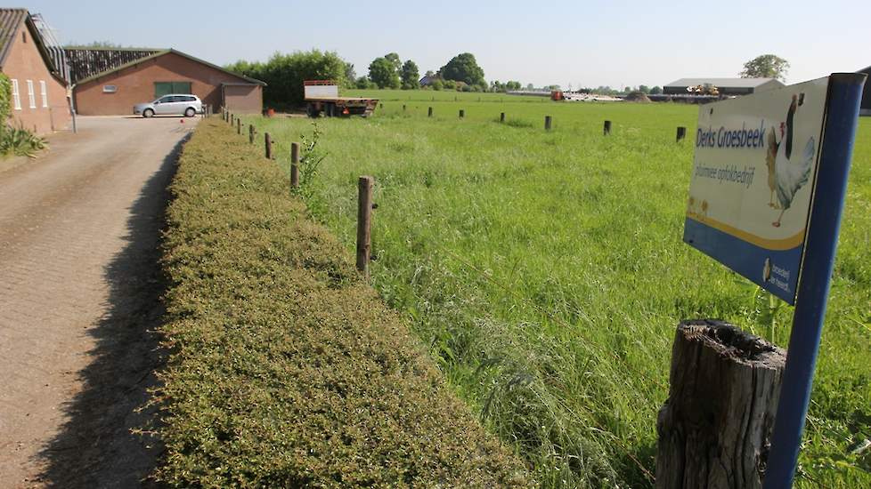 Het voormalig opfokbedrijf voor leghennen van zijn vader en vroeger van zijn opa stond al enige tijd leeg toen Stijn besloot het bedrijf om te bouwen naar vleeskuikenstallen. „De legsector gaat momenteel door een diep dal, nu de stallen zijn omgebouwd zij