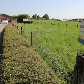 Het voormalig opfokbedrijf voor leghennen van zijn vader en vroeger van zijn opa stond al enige tijd leeg toen Stijn besloot het bedrijf om te bouwen naar vleeskuikenstallen. „De legsector gaat momenteel door een diep dal, nu de stallen zijn omgebouwd zij