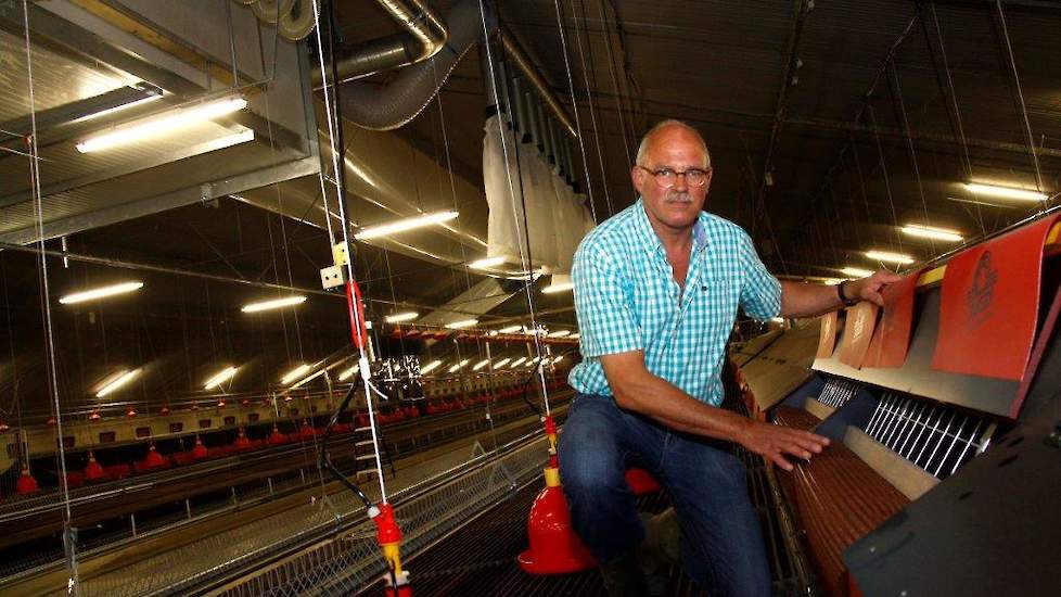 Van Steenbergen laat vanaf de opzet tot de eerste eieren komen de legnestmatten in het legnest hangen. Hiervoor zijn draadeinden in de zijwand van het nest bevestigd. „Op die manier kunnen de hennen niet op de rand van het legnest zitten en in het legnest