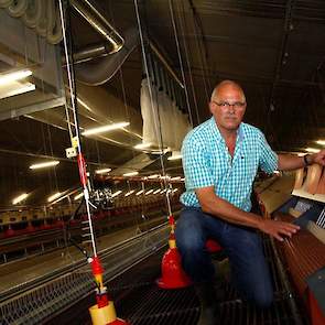 Van Steenbergen laat vanaf de opzet tot de eerste eieren komen de legnestmatten in het legnest hangen. Hiervoor zijn draadeinden in de zijwand van het nest bevestigd. „Op die manier kunnen de hennen niet op de rand van het legnest zitten en in het legnest