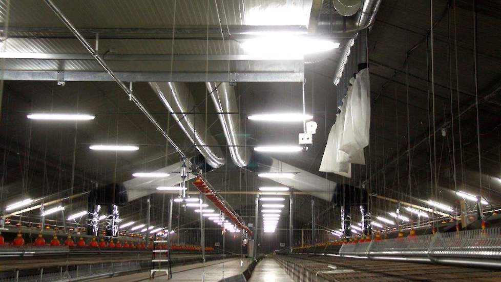 Tijdens de verbouwing werd in het midden van de stallen de TL verlichting van het plafond gehaald en aan een metalen buis met kettingen gehangen. Door de verlichting lager te hangen, is de lichtintensiteit overal in de stal bijna hetzelfde.