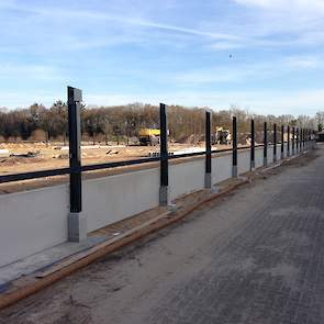 Ook boven de grond staat al een gedeelte van de zijmuur. Bekijk en lees volgende week hoe de staalconstructie van de stal wordt gebouwd en de daarop volgende weken hoe de complete stal tot stand komt.