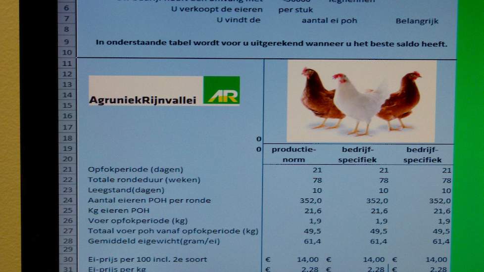 „Freiland eieren zijn relatief duur, luxer en duurder voer levert dan waarschijnlijk een hoger saldo op omdat de hennen dan meer eieren liggen”, verklaart Van den Bruinhorst. „Terwijl bij scharrelhennen lage voerkosten momenteel de voorkeur genieten, vanw