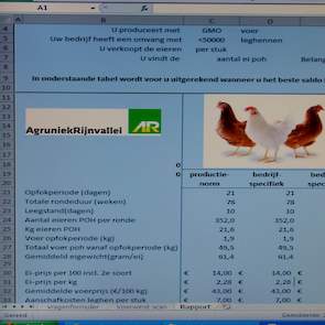 „Freiland eieren zijn relatief duur, luxer en duurder voer levert dan waarschijnlijk een hoger saldo op omdat de hennen dan meer eieren liggen”, verklaart Van den Bruinhorst. „Terwijl bij scharrelhennen lage voerkosten momenteel de voorkeur genieten, vanw