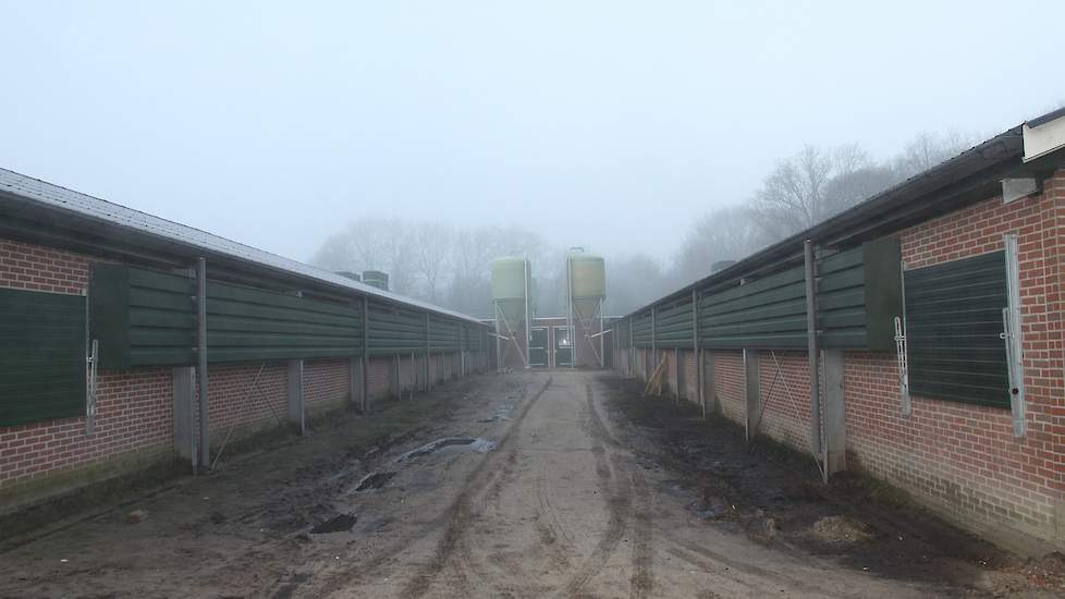 Ieder stalgedeelte heeft een eigen silo. Het gedeelte tussen beide stallen moet nog bestraat worden. In het portaal tussen beide stallen komt straks een eierinpakker en eierbewaarplaats. „De bedoeling is dat één werknemer straks beide stallen verzorgd en