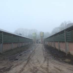 Ieder stalgedeelte heeft een eigen silo. Het gedeelte tussen beide stallen moet nog bestraat worden. In het portaal tussen beide stallen komt straks een eierinpakker en eierbewaarplaats. „De bedoeling is dat één werknemer straks beide stallen verzorgd en