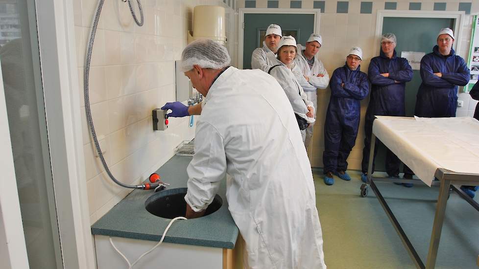 Na de uitwendige sectie wordt de hen geëlektrocuteerd door middel van een klein stroomstootje. Daarbij wordt gebruik gemaakt van water om de schok op te vangen. De hen is voor die tijd buiten bewustzijn gebracht zodat zij niets voelt van de elektrocutie.