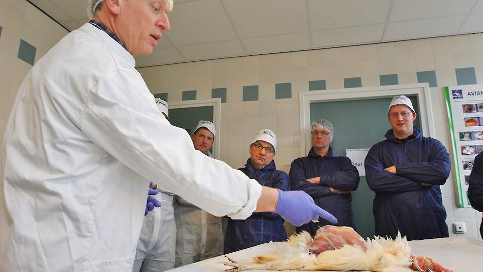 Marcel Boereboom verwijdert de veren en legt de hen bloot. Hij wijst hierbij direct naar zijn hart, longen en maag die allen goed zichtbaar zijn geworden. Ook het legapparaat is nu goed te zien.