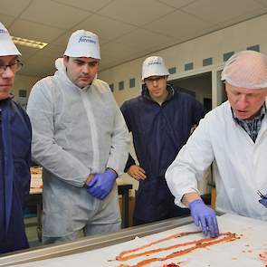 Onder het toeziend oog van de pluimveehouders en de ForFarmers-Hendrix dierenarts Rutger Jansen (midden) legt Boereboom de darmen van de volière kip uit op de sectietafel. Omdat de darmen naar achteren toe indikken, worden ze helemaal ingeknipt om te kijk