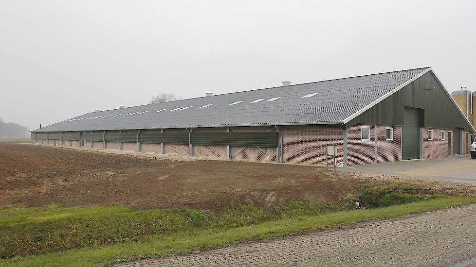 De nieuwe stal van 80 bij 26,5 meter breed (buitenwerk) met inpandige uitloop. De stal bestaat uit prefab muren en is gebouwd door een lokaal bouwbedrijf.