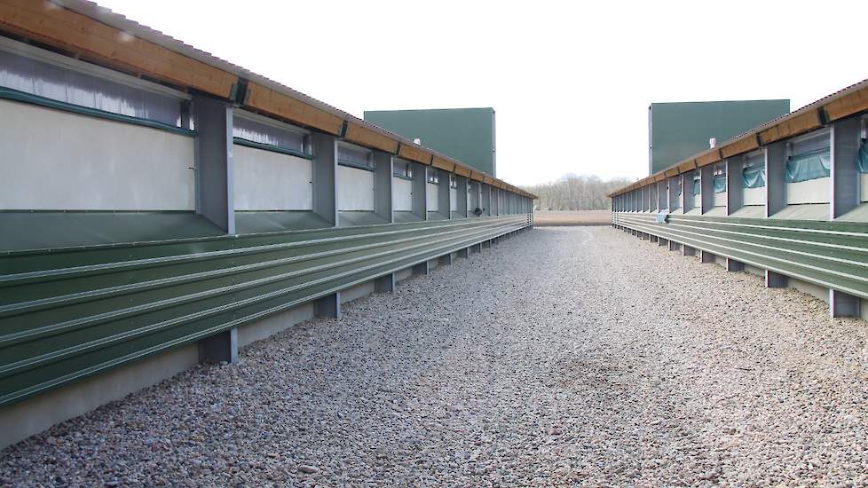 Tussen de stallen ligt gebroken puin. „Dit hoeven we toch niet schoon te spuiten”, motiveert Lichtenberg zijn keuze. Voor de stallen is beton gestort.