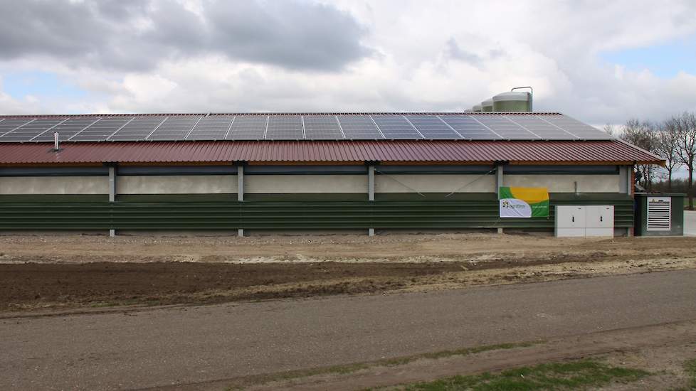 Op de stallen liggen zonnepanelen. „Daarmee kunnen we overdag onze eigen stroom opwekken”, zegt de pluimveehouder.