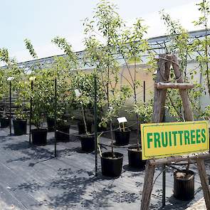 Patrick en Jolanda kweken bomen; fruitbomen, de nationale maple leaf (esdoorn), eiken, beuken en berken. Canada heeft een landklimaat wat betekent strenge winters met veel sneeuw en hete zomers.