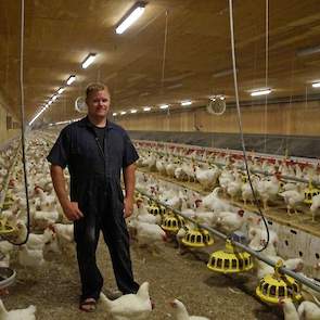 Het Ross 708 koppel is hier 25 weken oud en net gestart met leggen. De stal heeft een plafond met daarboven isolatie met een warmteweerstand (R) van 40. Het Janssen legnest bevalt prima. „We hebben weinig grondeieren, minder dan een half procent.” De led-