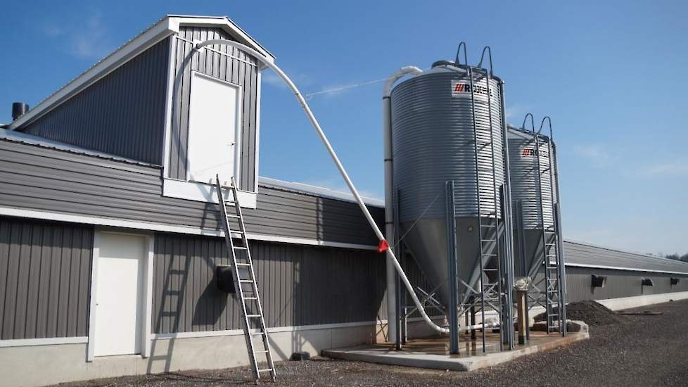 De silo´s staan aan een zijde van de stal met een weegunit in het opbouwdeel.  In de stal staan geen voerhoppers. „We voeren volledig kruimelvoer en strooien één keer per dag graan.”