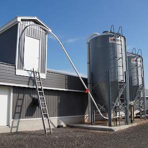 De silo´s staan aan een zijde van de stal met een weegunit in het opbouwdeel.  In de stal staan geen voerhoppers. „We voeren volledig kruimelvoer en strooien één keer per dag graan.”