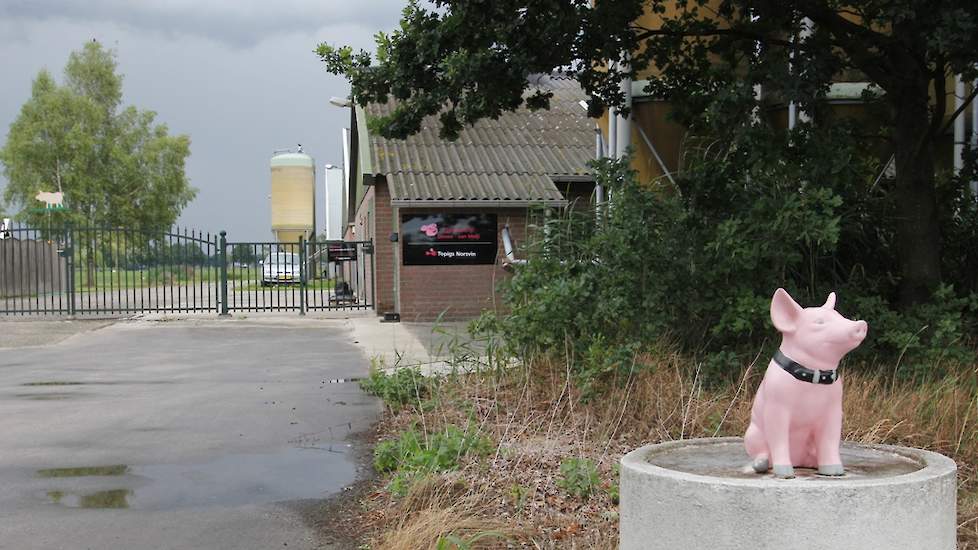 Hij ziet toekomstperspectief voor dit concept omdat supermarkten hiervoor kiezen na negatieve radiospotjes van Wakker Dier. De pluimveehouder is alleen bang dat Jumbo de prijs gaat verlagen als het aanbod toeneemt waardoor een vleeskuikenhouder onder kost