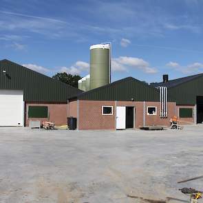 Aernouts liet beton storten voor de stallen. Tussen beide stallen staan vier silo’s. De voorste en grootse silo van 60 kuub is voor de tarwe. In de silo past 40 tot 45 ton tarwe. De drie andere silo’s zijn voor het voer.