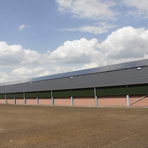 Een vleeskuikensstal met zonnepanelen.