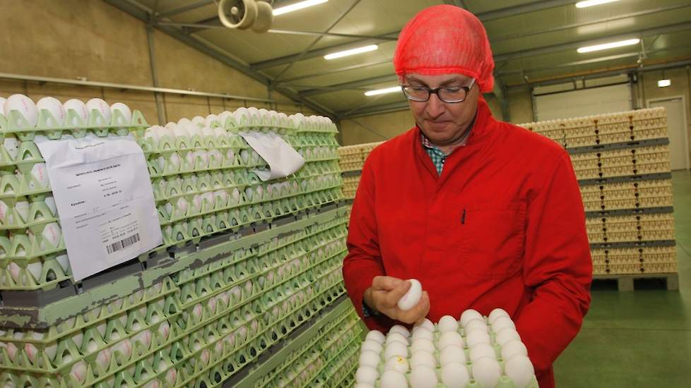 Henk Stiphout is zeven dagen per week op de werkvloer te vinden. ‘Even kijken naar de eikwaliteit, machines en contact met de medewerkers. Heel belangrijk,’ vertelt hij. Bij Egga Food werken ongeveer 75 medewerkers van diverse nationaliteiten. In het hoog