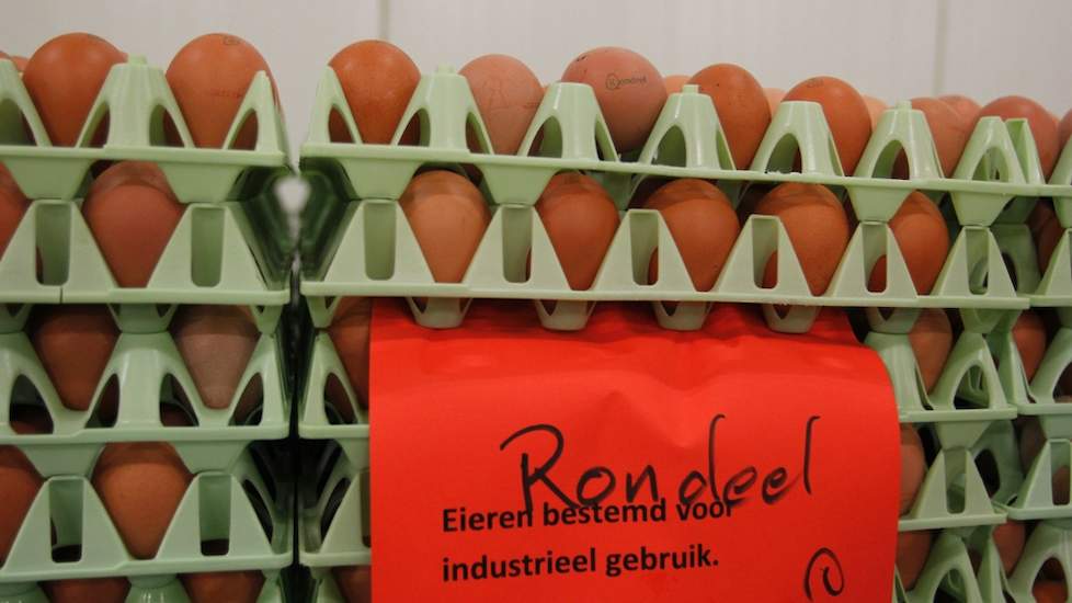 ‘Een steeds groter deel zijn alternatieve eieren. De fabriek moet 20 minuten leegdraaien om een shift alternatieve eieren te koken. Dat wordt al snel veel te duur,’ vertelt Henk Stiphout.