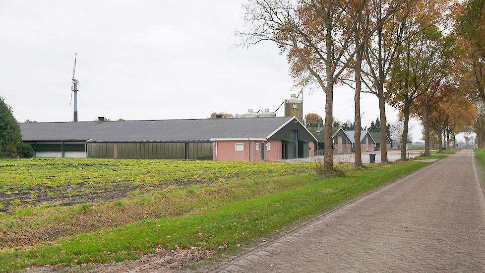 De stallen van Mekkes staan pal aan de weg. Ze kochten in het verleden ook een tweedehands windmolen. „De windmolen is sinds een aantal jaar buiten bedrijf gesteld omdat een windmolen van deze hoogte achteraf gezien niet efficiënt is in Drenthe”, legt Pie