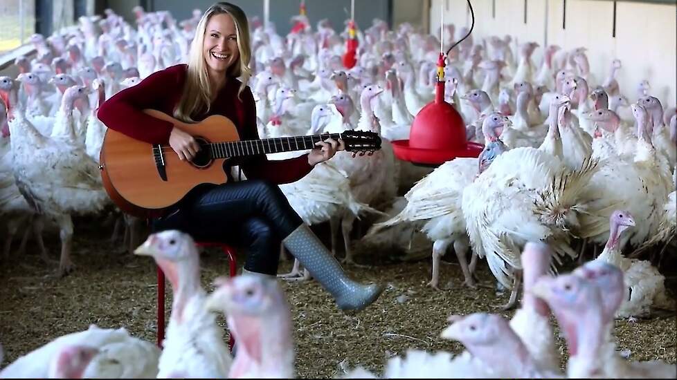 Video Kerstconcert Voor Kalkoenen Pluimveeweb Nl Nieuws Voor