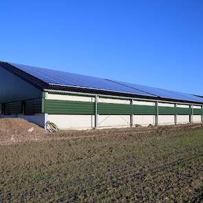 De vleeskuikenhouder plaatste, net als op stal 2 en de aardappelbewaarloods,  zonnepanelen op het dak van de nieuwe stal. „Ik ben gelukkig ingeloot voor de SDE subsidie anders had ik het niet gedaan”, zegt hij. Met de 1.330 zonnepanelen op beide daken is