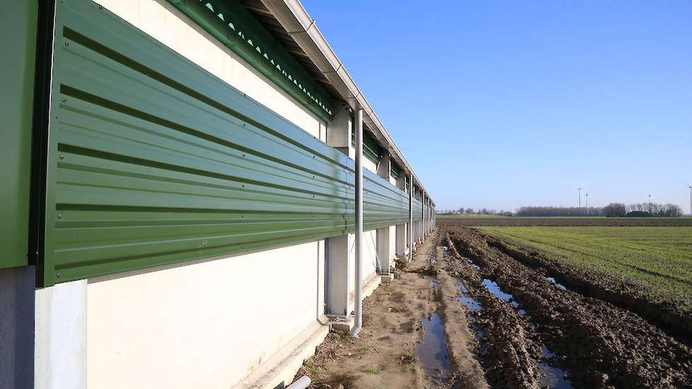 Vanwege de breedte van de stal koos Van Lier voor dakgoten om het regenwater snel af te voeren.