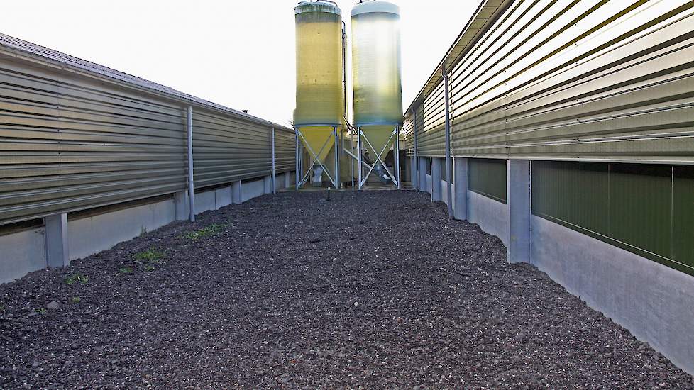 De silo’s staan tussen beide stallen in. Beide stallen worden gevoerd met dezelfde voercomputer.