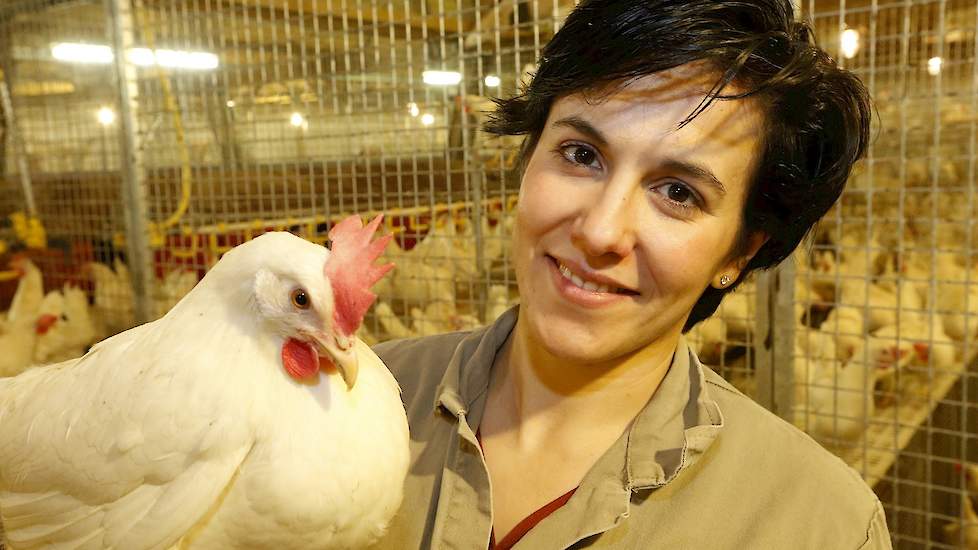 Het onderzoek vindt plaats in internationaal perspectief. De Française Cecile Veiga is nauw betrokken bij de voertesten van leghennen. Het achterliggende half jaar heeft ze intensief gewerkt aan voer- en productiemodellen in nauwe samenwerking met univers