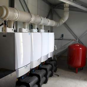 Naast de stal staat er een apart hok met de apparatuur voor de verwarming. „Alles wordt met warm water verwarmd.”