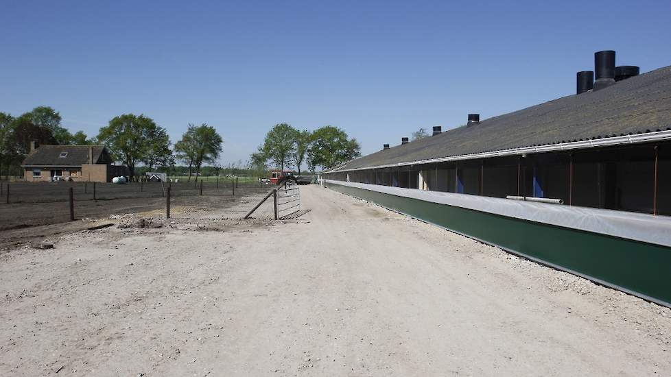 In de uitloop naast de stal wordt straks nog gras gezaaid. De gazen afscheiding is al geplaatst.