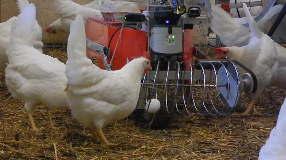 Nominatie Pluimveeweb Innovatieprijs: Poultrybot van Bastiaan Vroegindeweij - www.pluimveeweb.nl