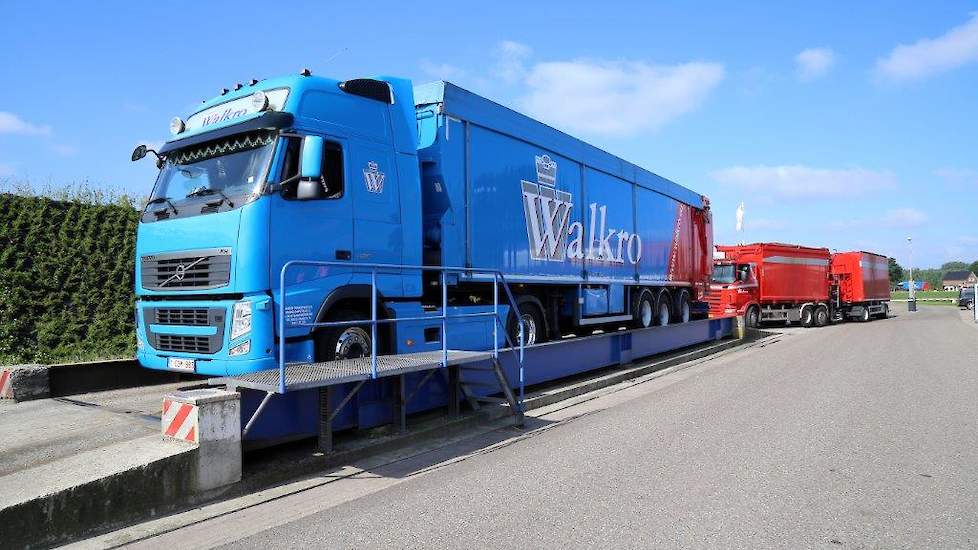 Alle wagens gaan bij aankomst over de weegbrug. De blauwe vrachtwagens zijn voor transport van het eindproduct: de compost die naar champignontelers gebracht wordt. De rode voor de aanvoer van paarden- of vleeskuikenmest.