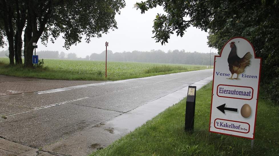 Dit bord maakt geïnteresseerden duidelijk waar ze verse eieren kunnen kopen. De familie Schalk houdt vrijdag 1 juli van 15.00 tot 21.00 uur een open dag voor sectorgenoten en de buren.