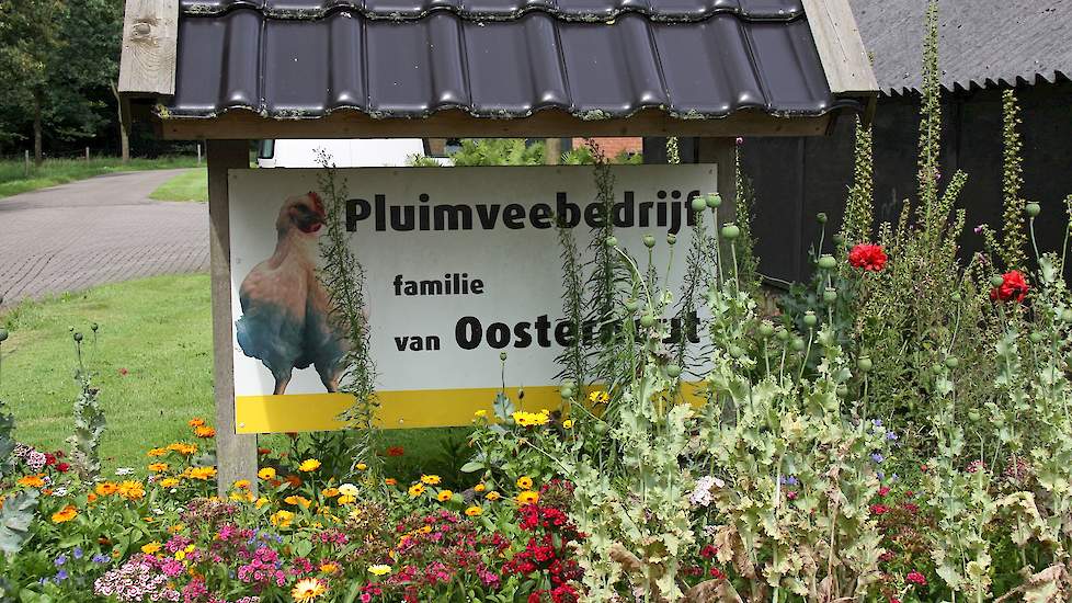 Dit bord maakt voorbijgangers duidelijk dat er een vleeskuikenbedrijf aan de Boerlestraat 9, 8131 SX in Wijhe gevestigd is.