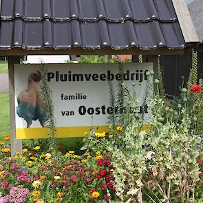 Dit bord maakt voorbijgangers duidelijk dat er een vleeskuikenbedrijf aan de Boerlestraat 9, 8131 SX in Wijhe gevestigd is.