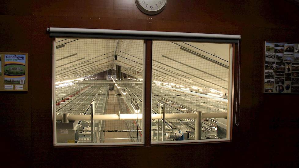 Vanuit de kantine zijn de hennen in stal 4 goed te bekijken. De familie nodigt regelmatig bezoekers zoals schoolklassen of politieke partijen uit om de hennen te laten zien en uitleg te geven over hun leghennenbedrijf. „De bezoekers zijn altijd heel posit