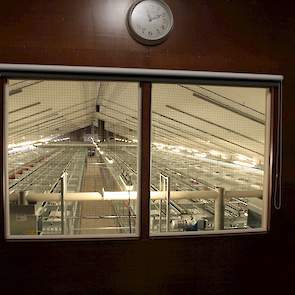 Vanuit de kantine zijn de hennen in stal 4 goed te bekijken. De familie nodigt regelmatig bezoekers zoals schoolklassen of politieke partijen uit om de hennen te laten zien en uitleg te geven over hun leghennenbedrijf. „De bezoekers zijn altijd heel posit