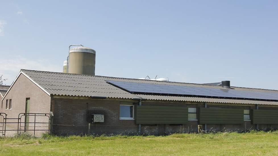 Op de bestaande leghennenstal liggen zonnepanelen. De familie schafte een aantal jaren geleden 65 zonnepanelen aan omdat energie steeds duurder wordt. Een jaar later deed Kievitsbosch mee aan een project van Stimuland en provincie Overijssel dat ook was g