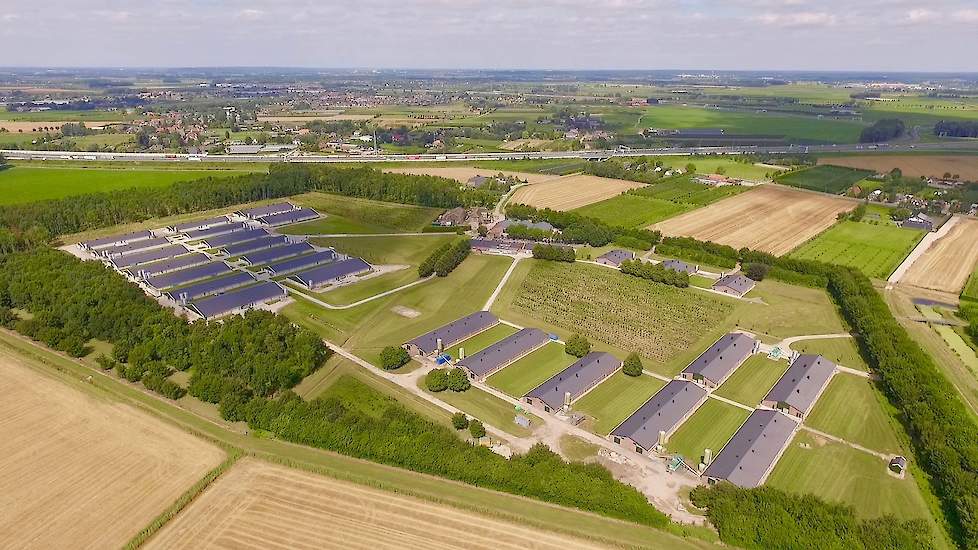 Het basisfokbedrijf van Cobb in Herveld is onlangs gerenoveerd en de capaciteit verdubbeld.