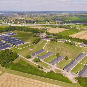 Het basisfokbedrijf van Cobb in Herveld is onlangs gerenoveerd en de capaciteit verdubbeld.