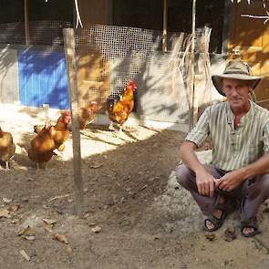 Wim Marcelissen (56) houdt in Gambia 250 ouderdieren en heeft een broederij waar hij wekelijks 1.100 eieren uitbroed, waar er circa 900 van uitkomen. „Een uitkomstpercentage van 81,5 procent is zeker niet slecht onder de tropische zon”, zegt Wim.