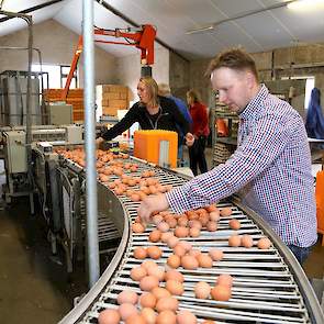 De eieren van beide stallen komen samen in het eierlokaal.