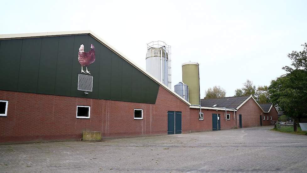 De voorkant van de beide stallen voor leghennen met links de omgebouwde Freilandstal en rechts de scharrelstal voor 20.000 scharrelhennen.