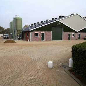 Vierhouten bouwde twee aan elkaar gekoppelde stallen, de ene is 16 bij 42 meter groot (binnenwerk) en de andere is 16 bij 62 meter. „Om het bouwblok helemaal te kunnen benutten was dit de enige manier”, legt hij uit.