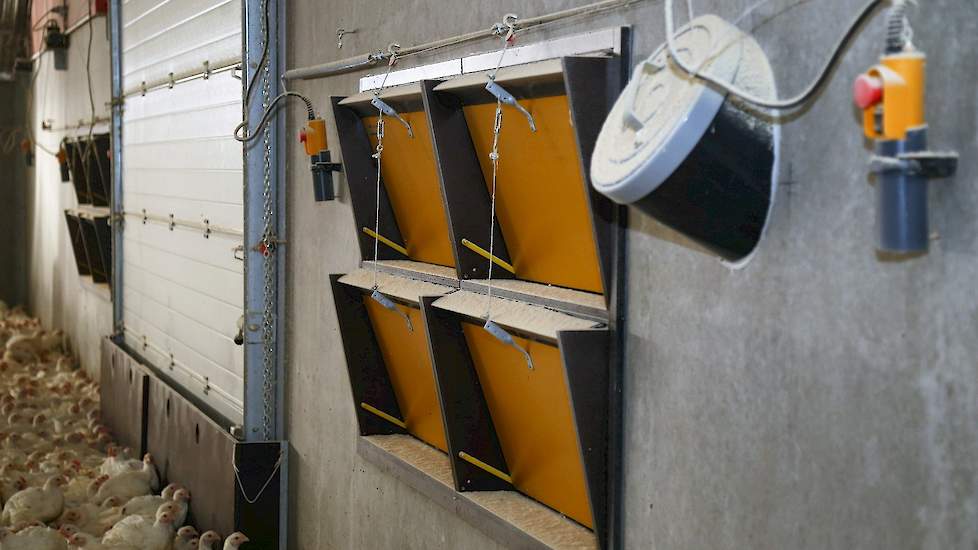 In de voorzijde zitten tunnelkleppen die de vleeskuikenhouder zomers op extreem hete dagen open kan zetten. Ook liet hij een koker in de voormuur plaatsen. Daardoor kan hij de dode kuikens naar buiten in de kruiwagen laten glijden. Zo hoeft hij niet telke