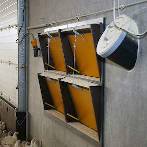 In de voorzijde zitten tunnelkleppen die de vleeskuikenhouder zomers op extreem hete dagen open kan zetten. Ook liet hij een koker in de voormuur plaatsen. Daardoor kan hij de dode kuikens naar buiten in de kruiwagen laten glijden. Zo hoeft hij niet telke